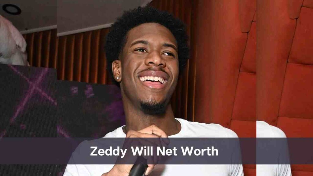 zeddy will net worth